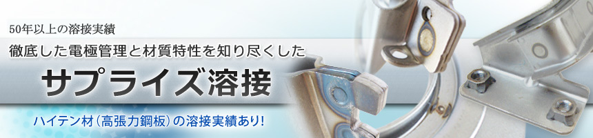 �O�ꂵ���d�ɊǗ��ƍގ�������m��s�������@�T�v���C�Y�n��